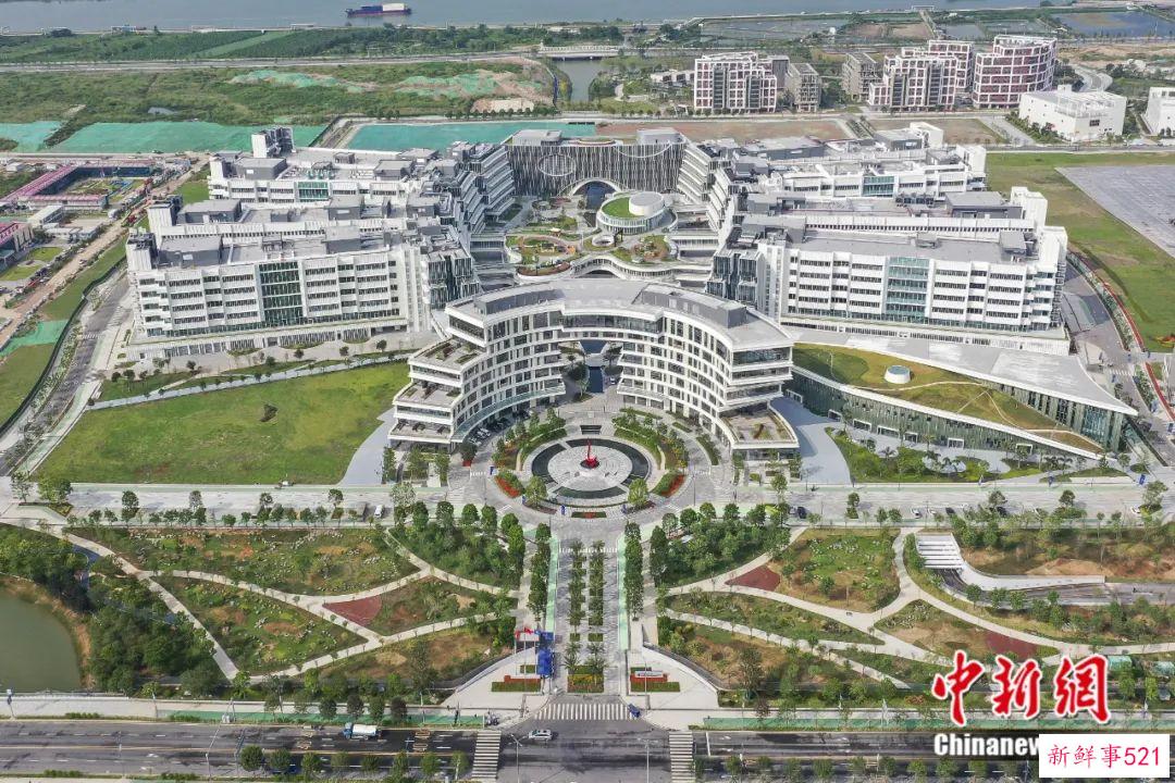 东西问丨叶玉如：大学在香港创科发展中扮演何种角色？