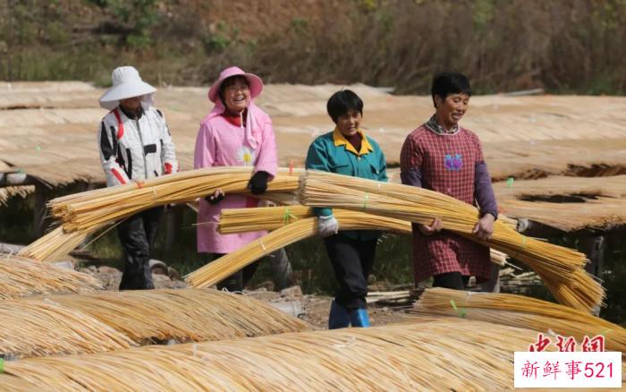 东西问丨短评：全球文明倡议为何正当其时？