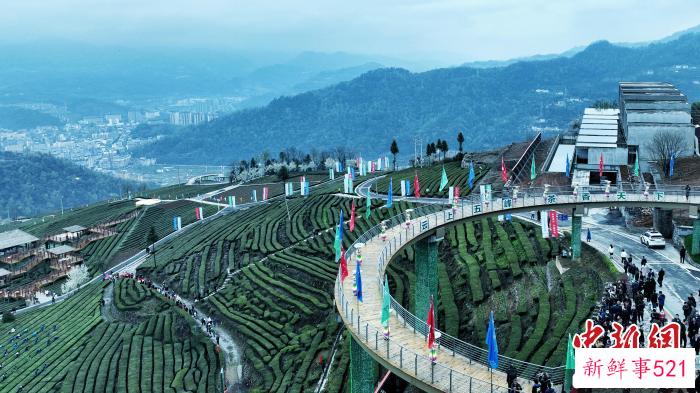 五峰2023年春茶开园节在渔洋关镇青岗岭茶园举行 周星亮 摄