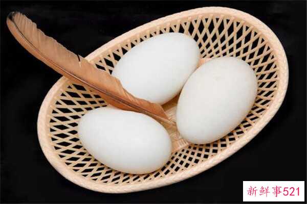 鹅蛋不能和什么一起吃？吃鹅蛋要注意什么？