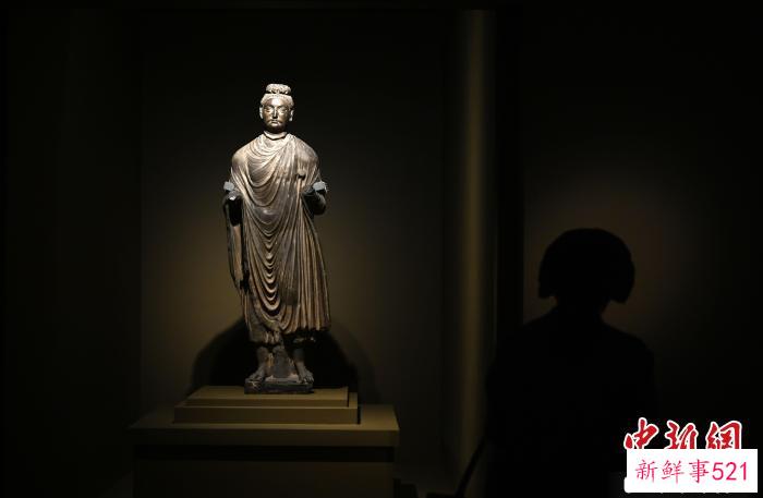 展览现场 杜洋 摄