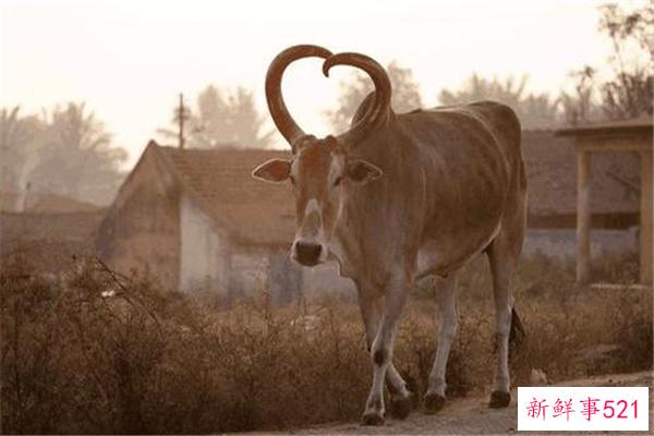 世界上最糟糕的沙漠-阿塔卡马沙漠(近百年无降雨)