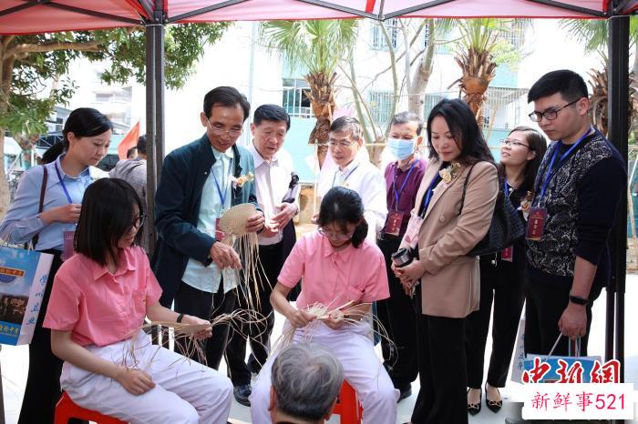 与会专家参观新会葵艺传承基地 麦瑞聪 摄