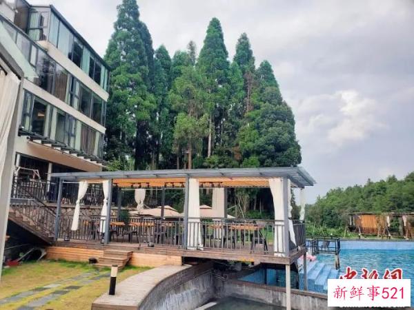 这个侨乡的民宿火了！侨界助力乡村振兴探出新路