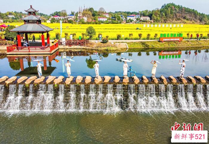 江背镇因地制宜发展“花海经济”。　江背镇政府供图