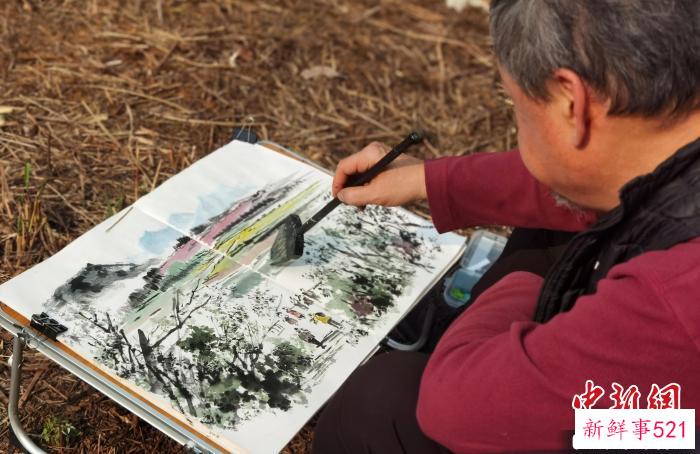 图为台湾知名画家李沃源在贵安樱花园内写生。　周燕玲 摄