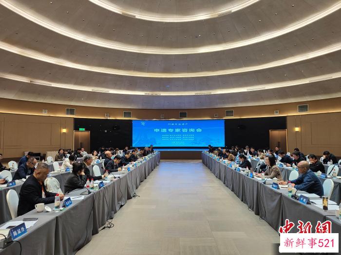 专家学者四川遂宁“把脉”川渝井盐遗产申遗