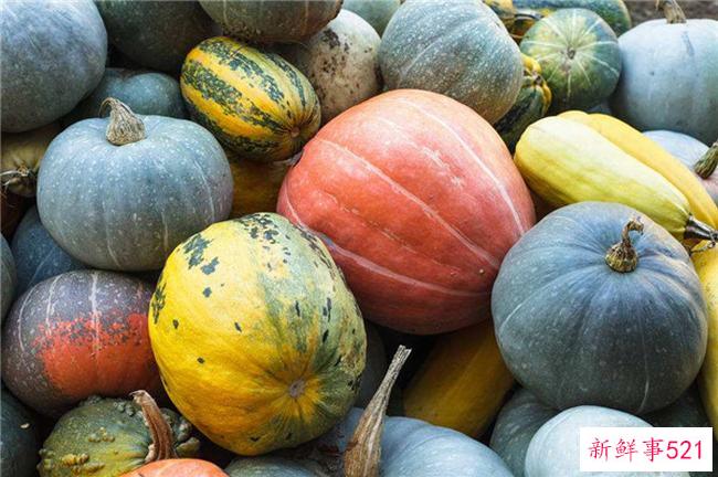 南瓜不能和什么一起吃？为什么南瓜不能和这些一起吃？