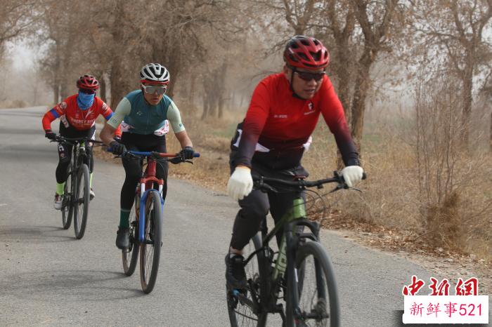 图为骑行在胡杨林里的参赛选手。　玛依拉 摄