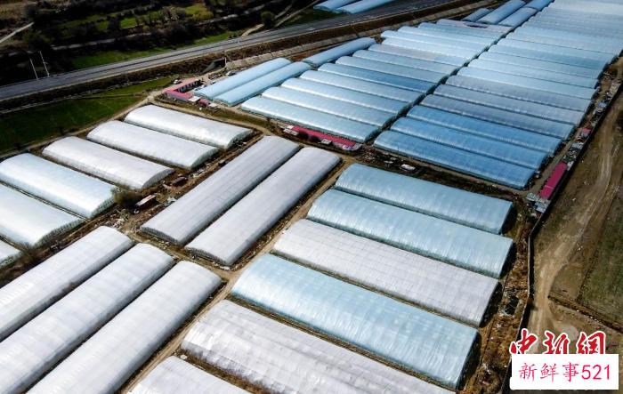 图为巴嘎村的蔬菜大棚。　邓巴 摄