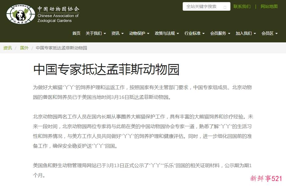 为做好“丫丫”饲养护理和运返，中国专家已抵达孟菲斯动物园