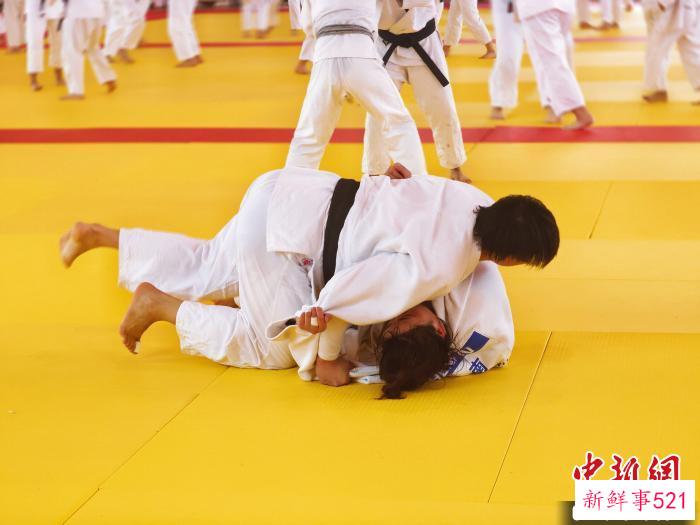 全国柔道训练营中，运动员正在进行对抗性训练。　张少宣 摄