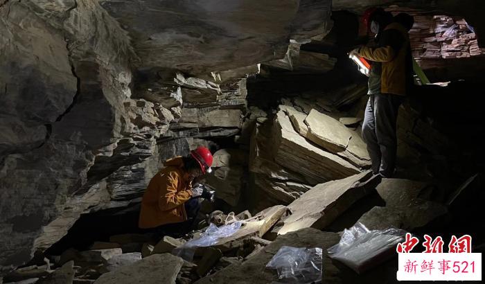 研究团队在青藏高原西南部日喀则地区顶琼遗址的一处墓室中进行考古发掘。　中科院古脊椎所 供图