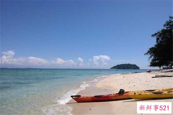 鹅蛋不能和什么一起吃？吃鹅蛋要注意什么？