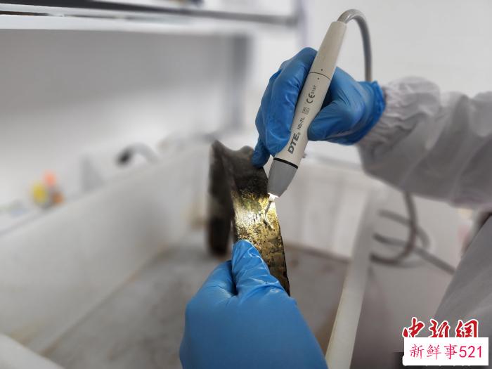兰栋正在用洁牙机清洗文物表面。　赵晓 摄