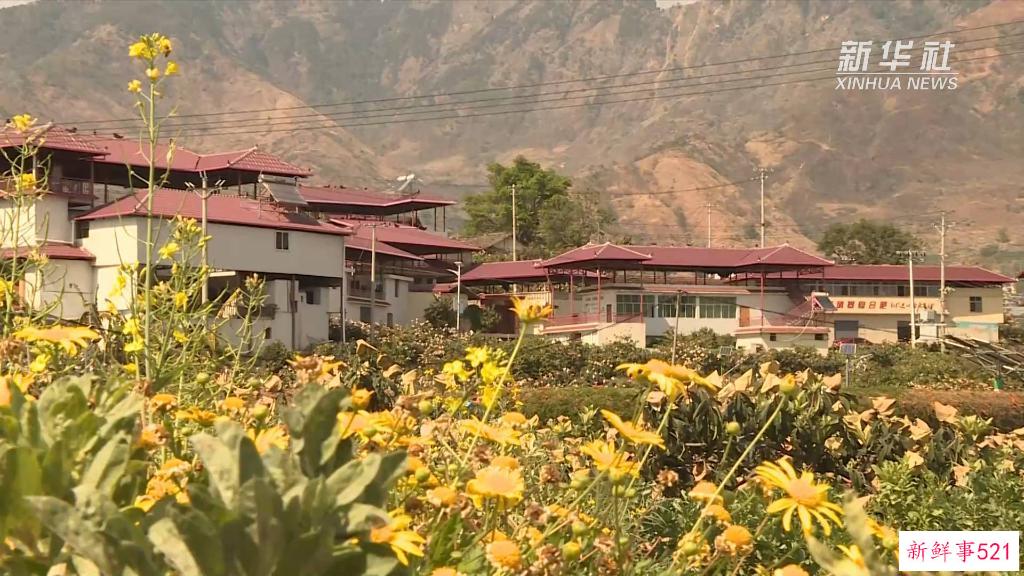 新华视点丨木棉花开“零碳村”