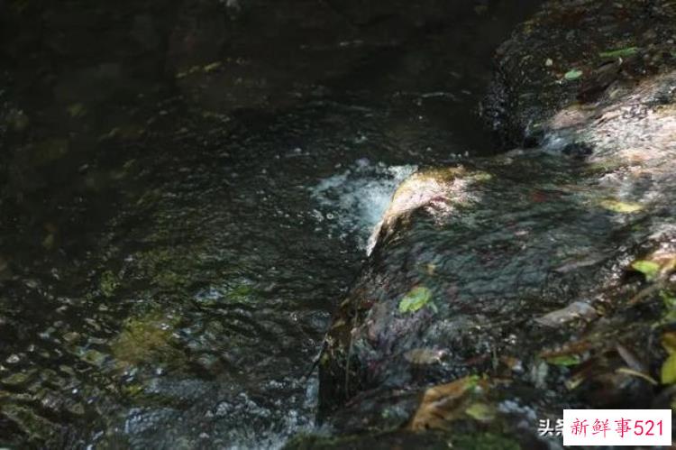 寻乌网红打卡地，超坑的网红景点