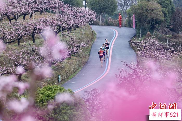 比赛现场。　樊建威 摄