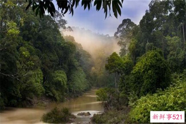 亚马逊森林是哪个国家的？没有准确的国家(范围很广)