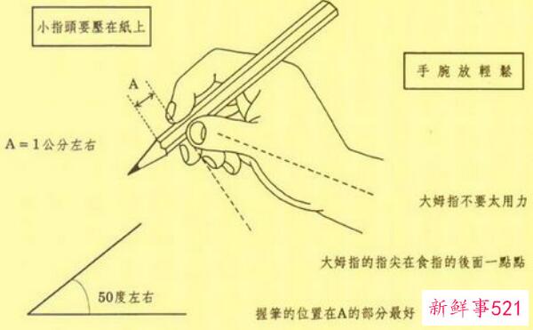 白菜和卷心菜的区别是外观、营养、功效不同