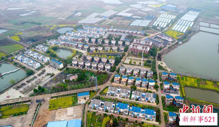 航拍湖北省京山市罗店镇马岭村 张畅 摄