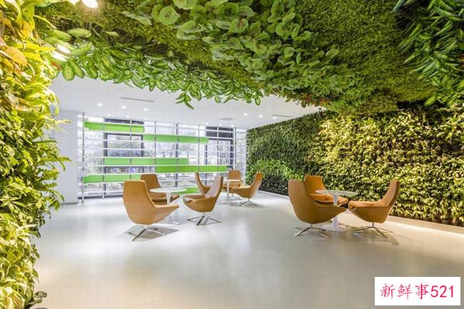 茶叶蛋能减肥吗？茶叶蛋没有减肥效果(可以吃减肥)