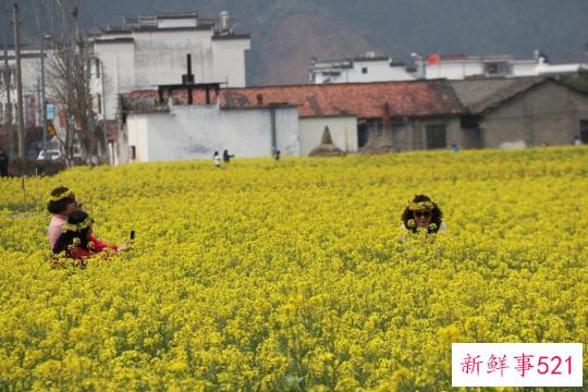 春光里的乡村游暖意融融