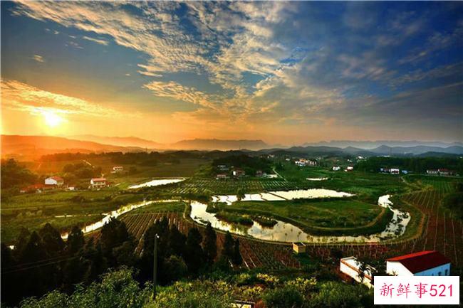 修水百灵镇为什么美女多？当地人喜欢喝菊花茶