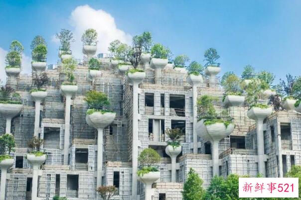 古代空中花园-世界奇迹之一 建于公元前6世纪