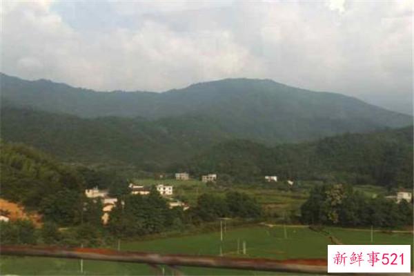 修水百灵镇为什么美女多？当地人喜欢喝菊花茶