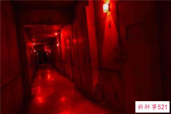 亚马逊森林是哪个国家的？没有准确的国家(范围很广)