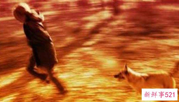 做梦是现实的预兆吗？揭秘人最常做的10种噩梦(附解析)