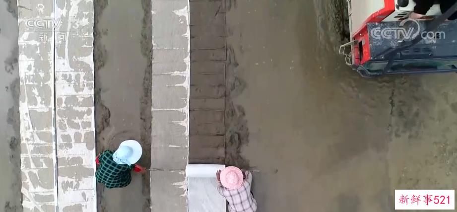 全国早稻育秧已完成41.8% 进度同比快4.3个百分点