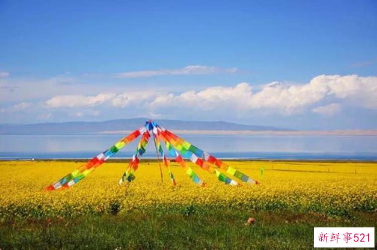 福建瓷跨越山海与最早的中国相遇