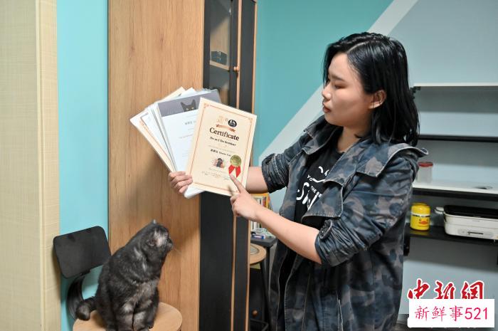 崔静宜展示其获得过的证书。　俞靖 摄