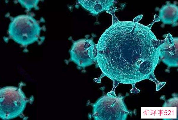 美国死亡率为何高？揭秘美国死亡率高的10大原因