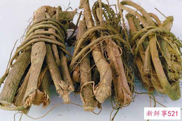 沈是道教的哪一派？