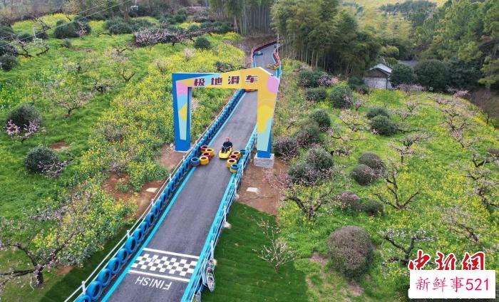 新增的“极地滑车”体验项目 陈康韦 摄