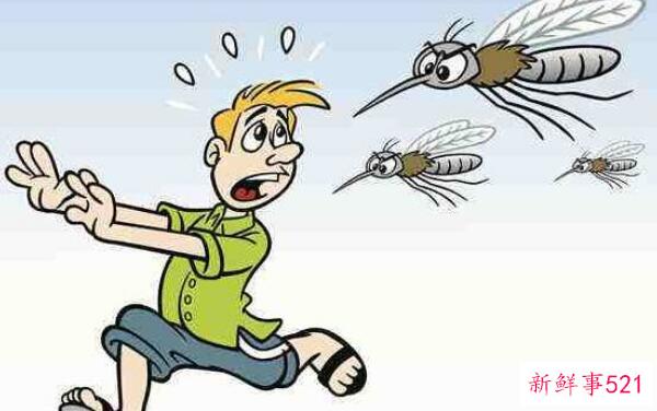 蚊子喜欢咬谁？呼吸急促、大量出汗、浓妆艳抹的人