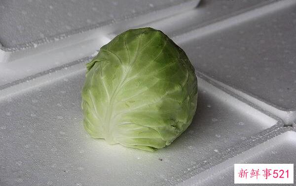 白菜和卷心菜的区别是外观、营养、功效不同