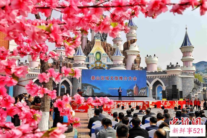 泰山区域文旅推介大会19日在泰安举行。　陈阳 摄