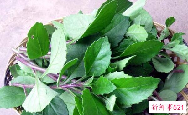 早餐前或早餐后运动 早餐前运动减肥-早餐后运动健康