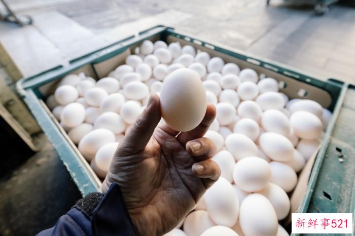 台湾缺蛋乱象：“潜水蛋”是啥？自助餐“卤蛋”自由？
