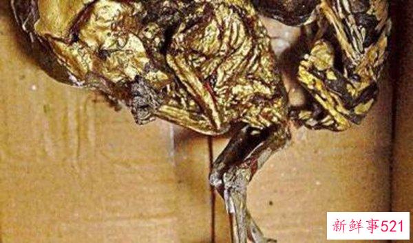 泰国佛教真的有效吗？泰国佛教真的有害吗？