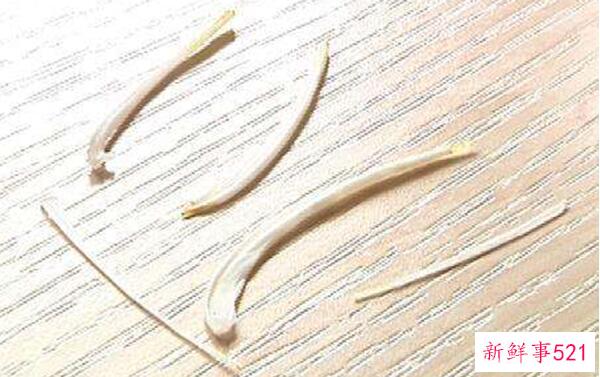 为什么白糖能溶解鱼刺 而白糖不能(白糖加蒜去刺)？