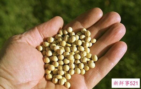 蚊子喜欢咬谁？呼吸急促、大量出汗、浓妆艳抹的人