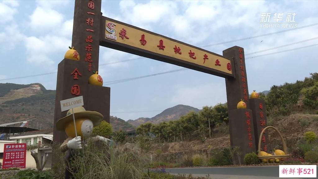 新华视点丨木棉花开“零碳村”