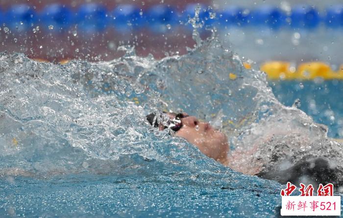 傅园慧在女子50米仰泳预赛中 记者 王刚 摄