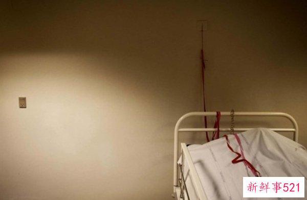 美国死亡率为何高？揭秘美国死亡率高的10大原因