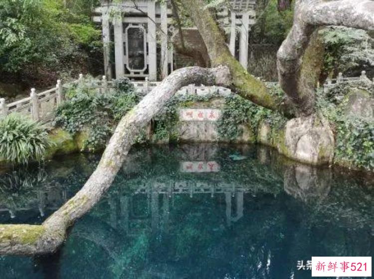 寻乌网红打卡地，超坑的网红景点